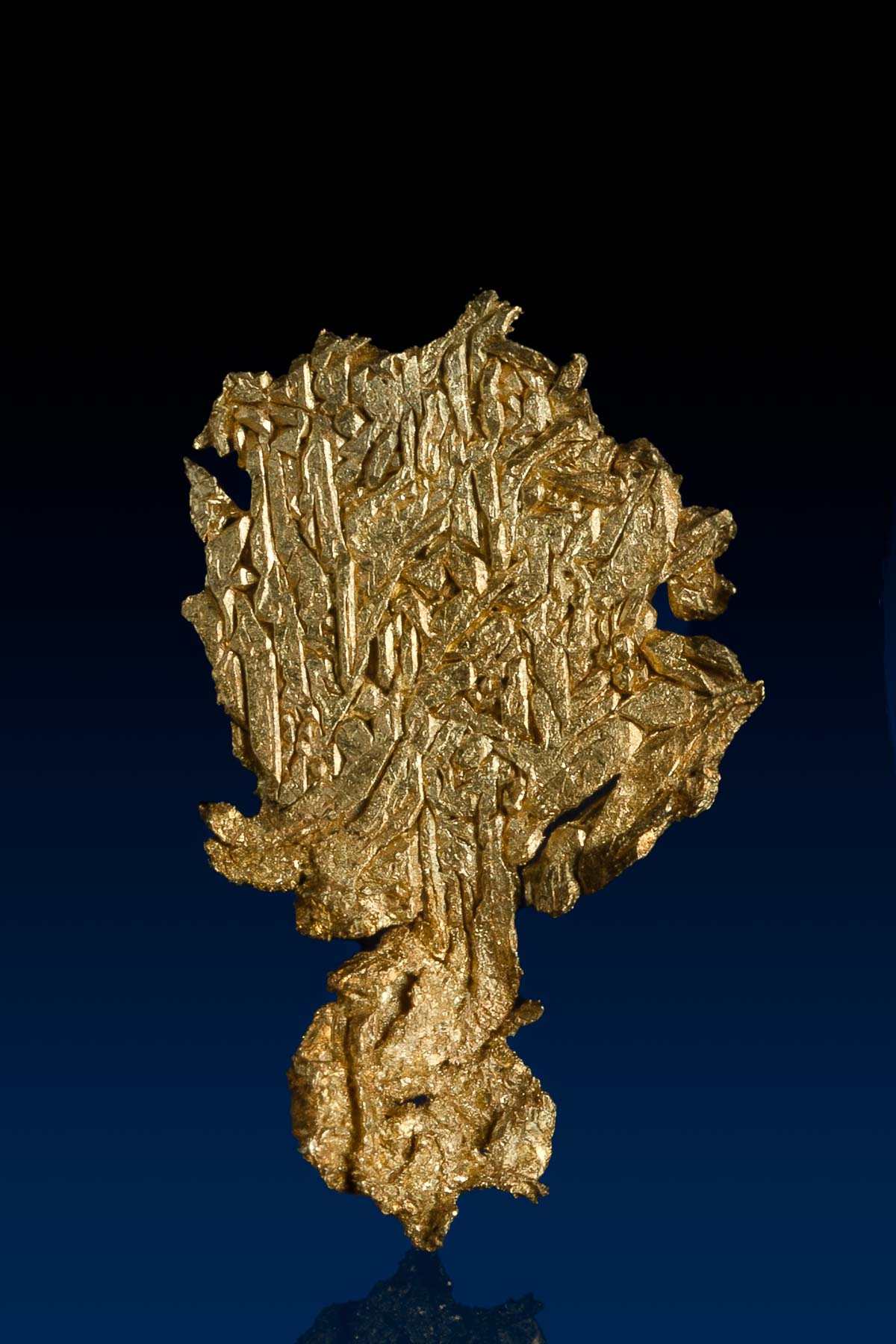 Interesting "Tree Shaped" Natural Gold Crystal - Breckenridge